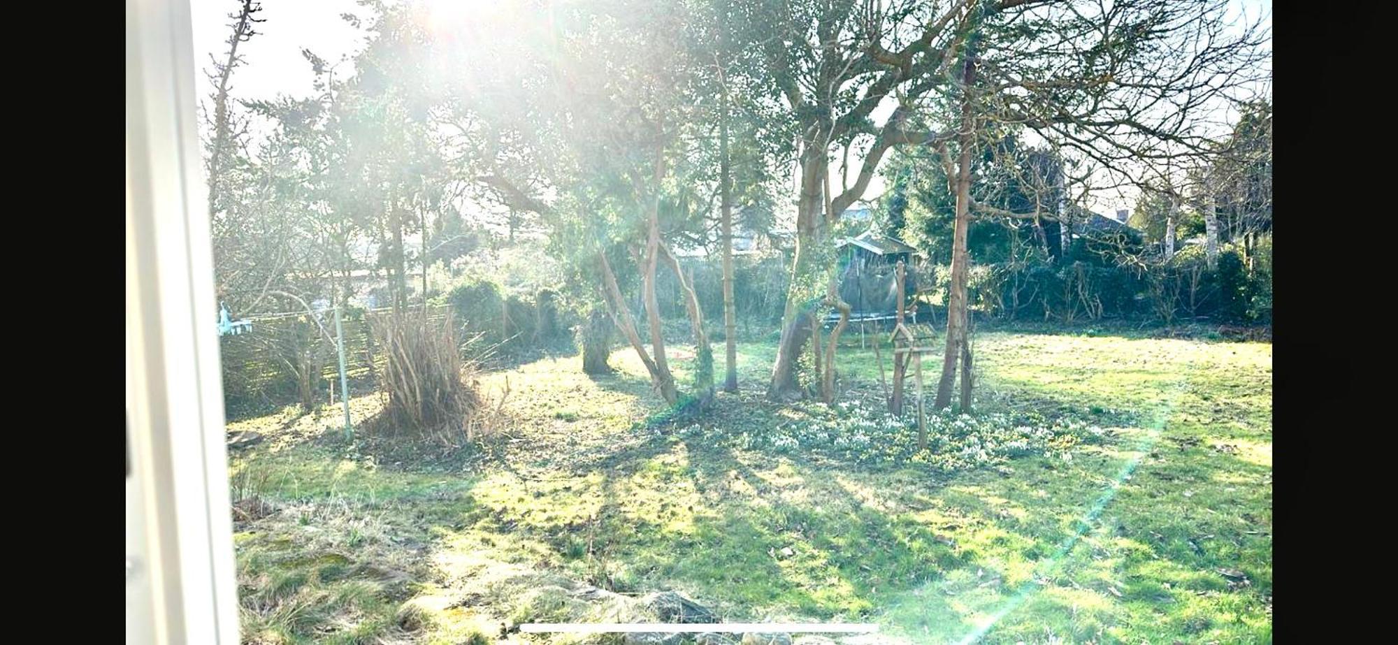 Villa Apartment Near Lousiana Humlebæk Buitenkant foto